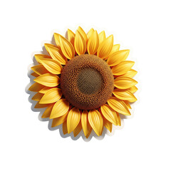 Fototapeta premium sunflower isolated on white
