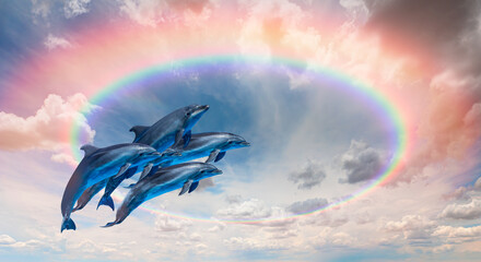 Couple of dolphins jumping up from the sea amazing sunset in the background with rounde rainbow © muratart