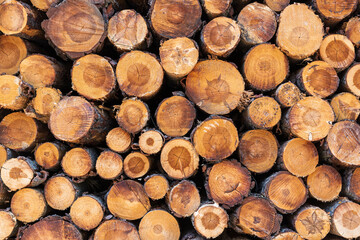 Pila de troncos de madera vista de frente, textura