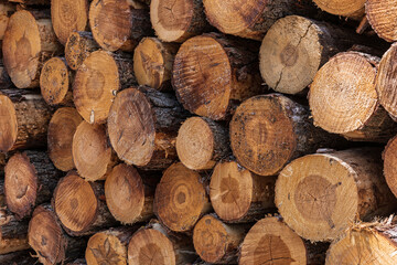 Detalle de una pila de troncos de madera