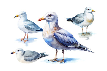 Fototapeta premium set of watercolor seagull vector illustration isolated on white background