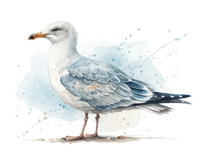 Obraz premium watercolor seagull vector illustration isolated on white background