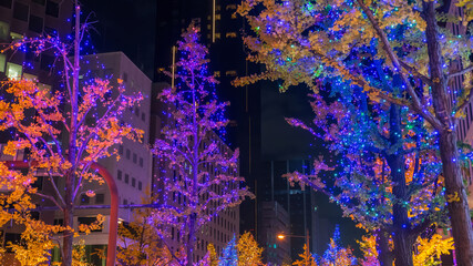 Osaka city colorful light up on trees at night in Midosuji street