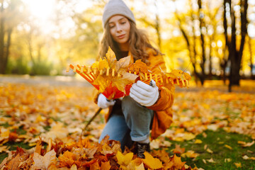 A young woman in a bright jacket and gloves collects bright autumn leaves in a sunny park. A female...