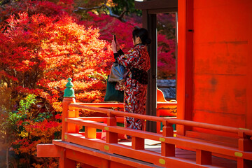 woman in red Kimono view fall colors at Bishamondo balcony, Kyoto