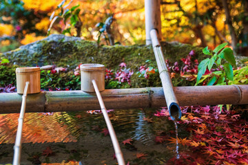 fountain and hand washer on water basin in fall, Bishamondo, Kyoto