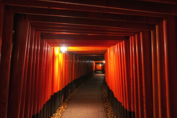 Red Torii gate archway light up of Fushimi Inari Taisha shrine at night, Kyoto, Japan. travel...