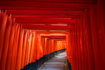 Red Torii curve gate archway architect of Fushimi Inari shrine, Kyoto