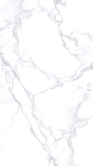 Obraz premium Abstract marble pattern, light gray veins