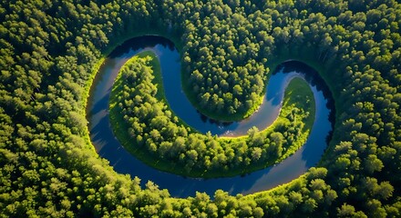 Aerial view of a winding river flowing through a lush green forest on a sunny day