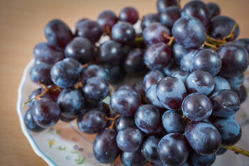 Fresh Blue Grapes Cluster Concept Picture