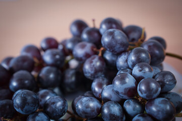 Fresh Blue Grapes Cluster Concept Picture