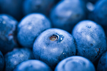 Macro Shot of Fresh Blueberries