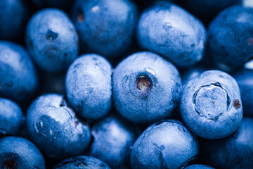 Macro Shot of Fresh Blueberries