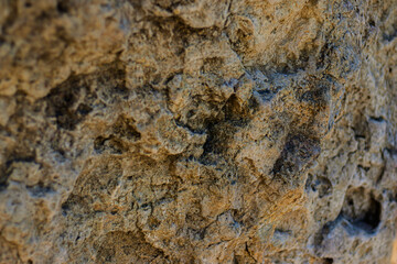 Macro photo of a naturally eroded rock face showing coarse texture, irregular patterns, and earthy coloration in sunlight.