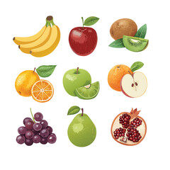 Collection of fruits vector image
