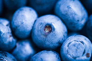 Macro Shot of Fresh Blueberries