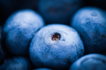 Macro Shot of Fresh Blueberries