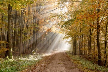 Sonnenstrahlen