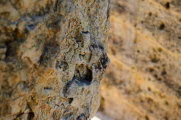 Close-up of weathered rock surface featuring unique formations and deep textures shaped by natural...