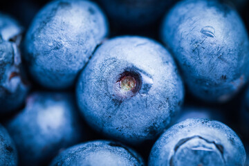 Macro Shot of Fresh Blueberries
