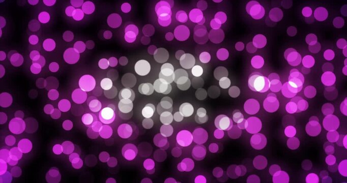Purple particle bokeh floating in black background. Loop