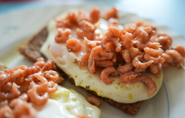 North Sea Shrimps on toasted bread with Fried Egg