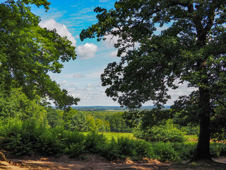 Landscape View of Wahner Heide