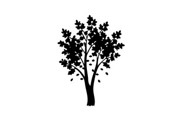 Silhouette of a blooming birch tree on a white background