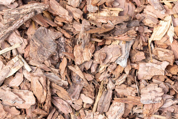 Tree bark mulch. Photo of mulch from tree bark top view