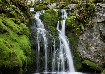 Obraz premium waterfall in the forest