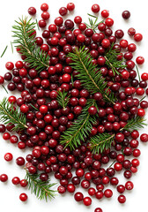 Lingonberries: Fresh, Red Cranberries with Pine Sprigs - Festive Winter Berries, Culinary Ingredient, Natural Food Photography