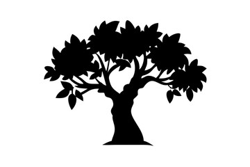 Ancient Mango Tree Silhouette ancient tree nature