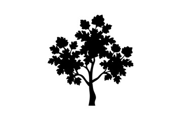 Catalpa tree silhouette with blooming flowers vector
