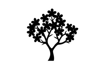 Silhouette of a blooming frangipani tree with scattered petals