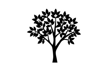 Blooming Silverleaf Tree Silhouette nature