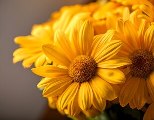 Fototapeta premium vibrant yellow daisies bouquet closeup photography