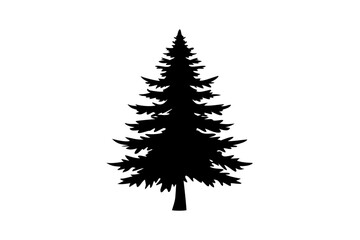 Silhouette of a blooming spruce tree on a white background