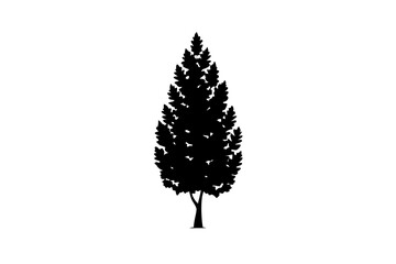 Silhouette of a blooming poplar tree on a white background