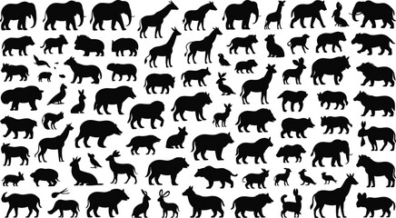 Obraz premium A large vector collection of wild animal silhouettes. Safari and jungle creature icons set.