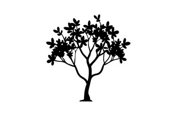 Blooming mangrove tree silhouette with white background