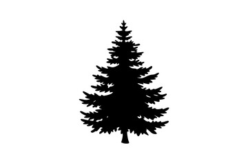 Blooming spruce tree silhouette on white background