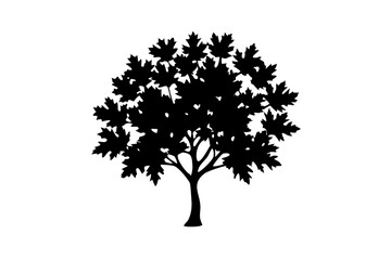 Obraz premium Blue maple tree silhouette on white background nature
