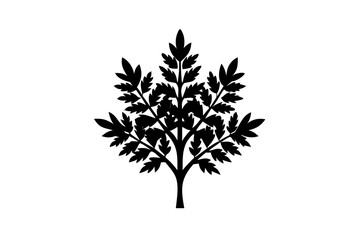 Obraz premium Blue Laurel Tree Silhouette plant
