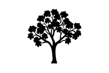 Silhouette of a blooming mahogany tree on a white background