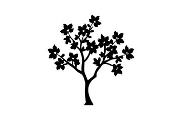 Silhouette of a blooming quince tree on a white background