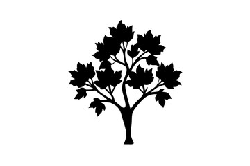 Silhouette of a blooming tulip tree on a white background