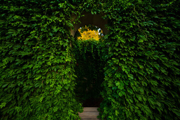 Obraz premium old brick wall