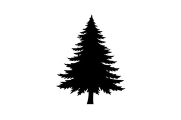 Desert fir tree silhouette on white background nature