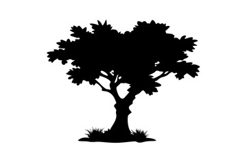 Fototapeta premium Desert Neem Tree Silhouette with Sparse Grass arid